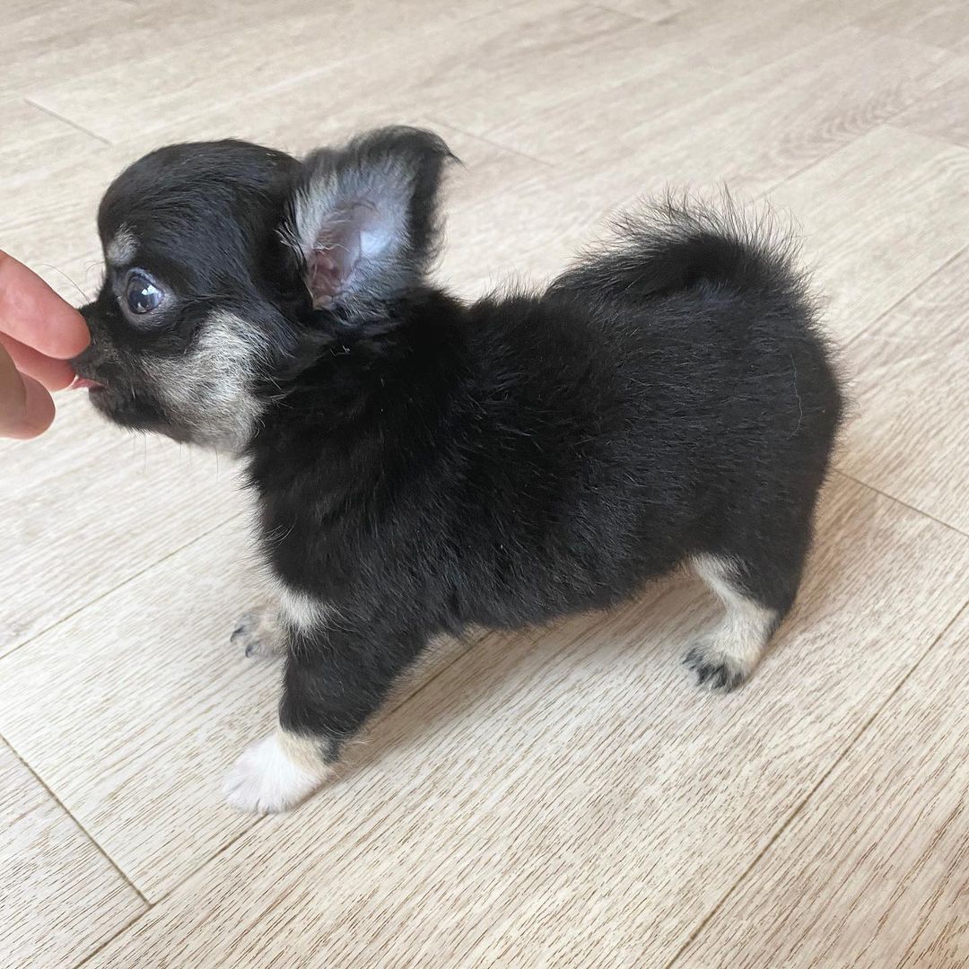 Cash Mädchen